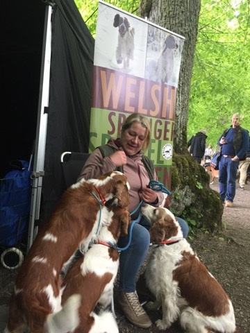 gamefair